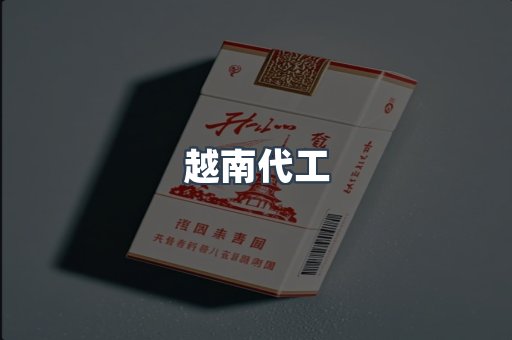 越南代工